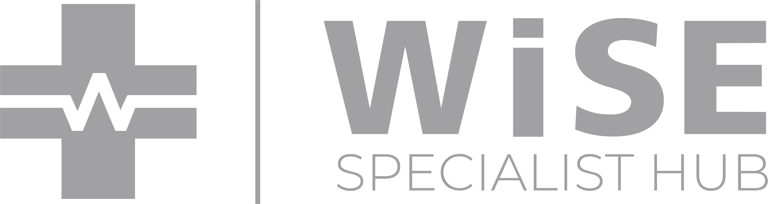 Wise Hub Logo